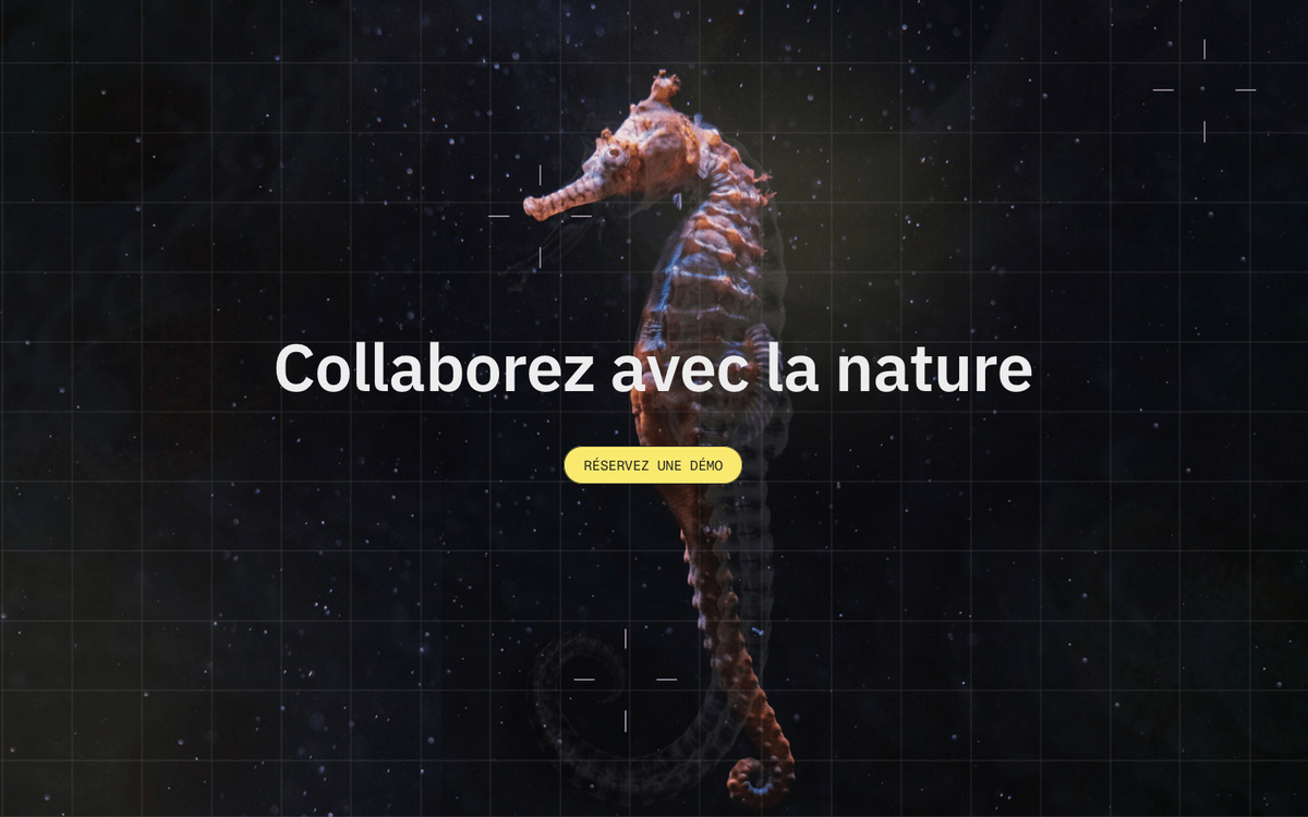 Aperçu visuel du projet Asteria.life